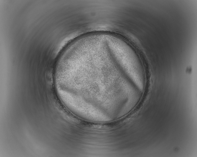 X0000113631218200910091548