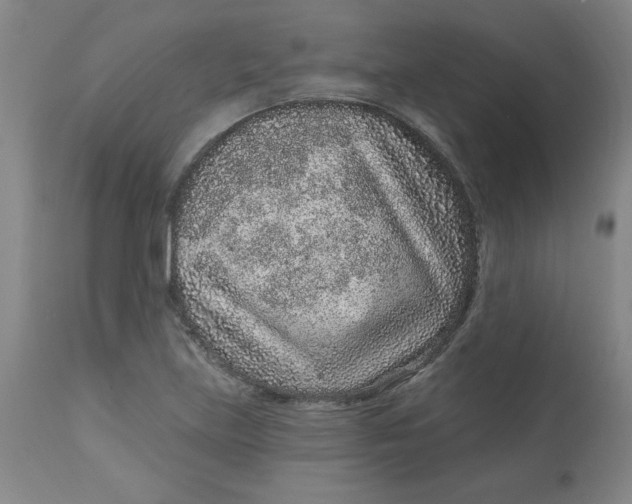 X0000113631219200910091548