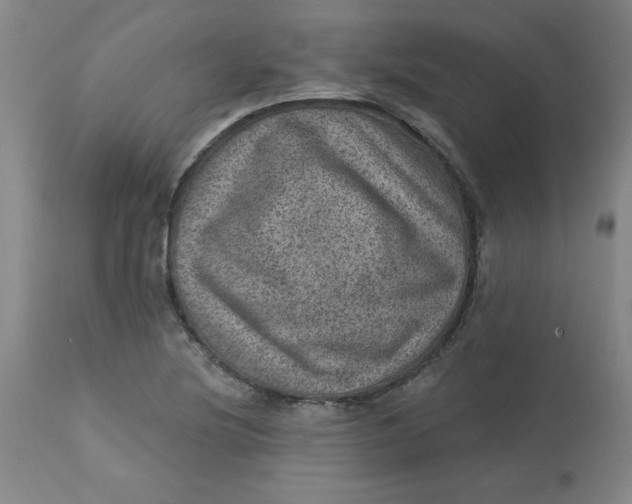 X0000113631220200910091548