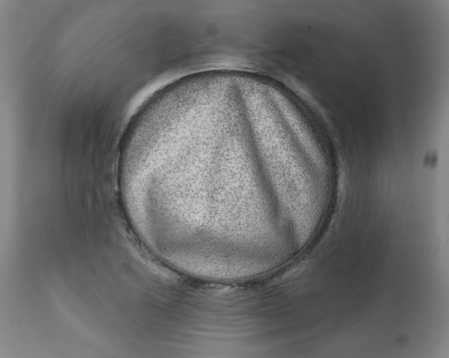 X0000113631222200910091548
