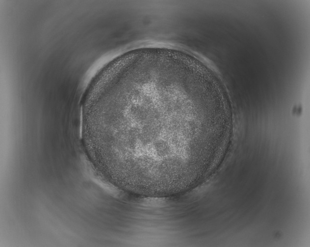 X0000113631223200910091548