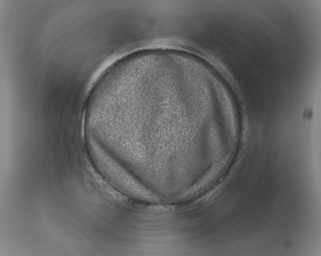 X0000113631224200910091548