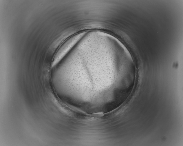 X0000113631225200910091548
