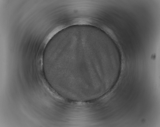 X0000113631226200910091548
