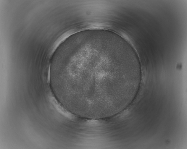 X0000113631227200910091548