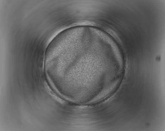 X0000113631228200910091548