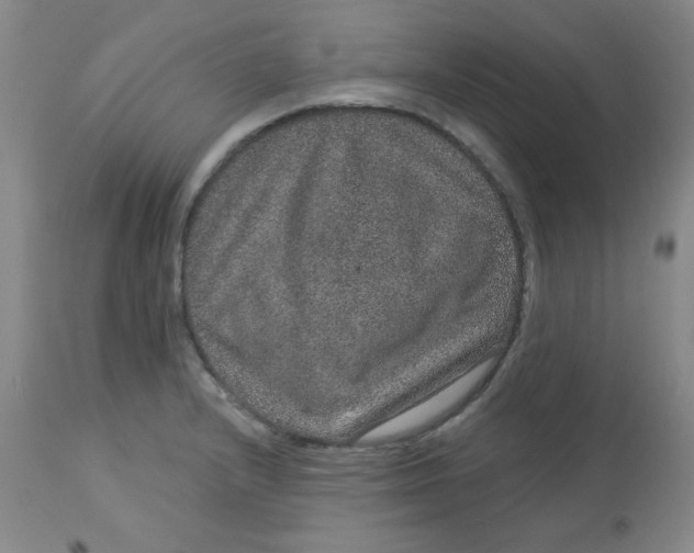 X0000113631232200910091548