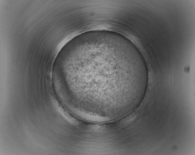 X0000113631234200910091548