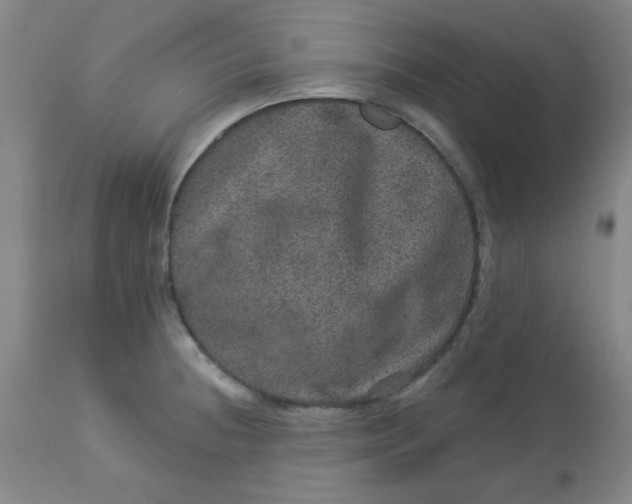 X0000113631236200910091548