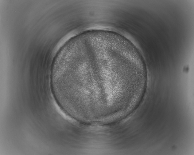 X0000113631237200910091548