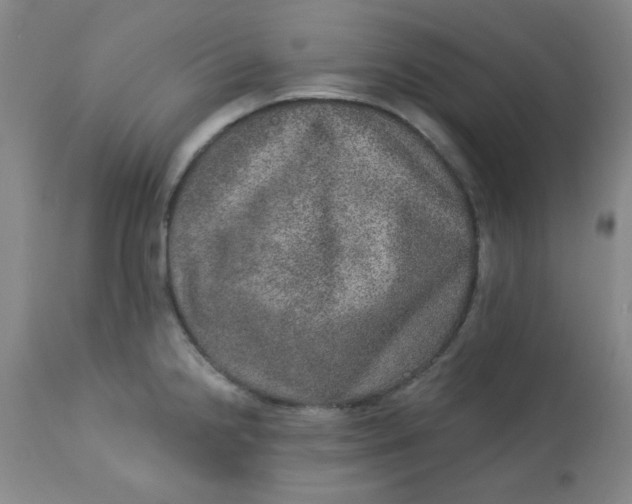 X0000113631238200910091548
