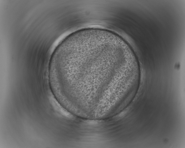 X0000113631240200910091548