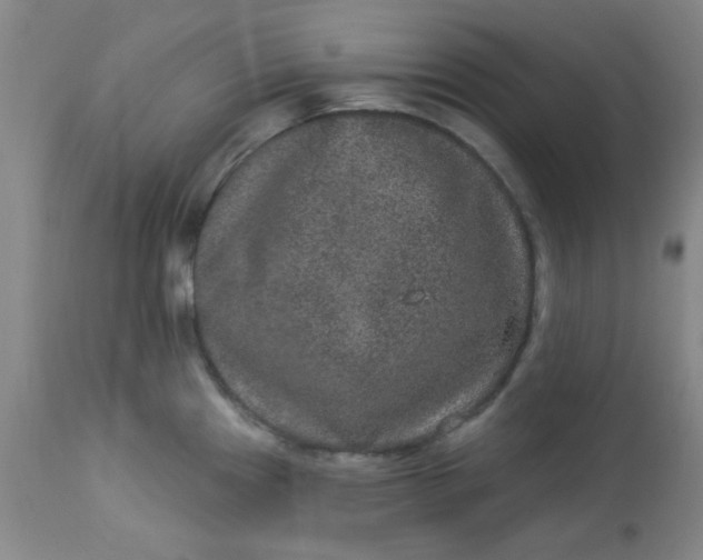X0000113631241200910091548