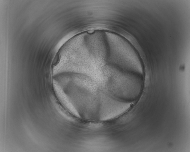 X0000113631242200910091548