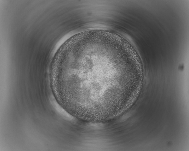 X0000113631243200910091548