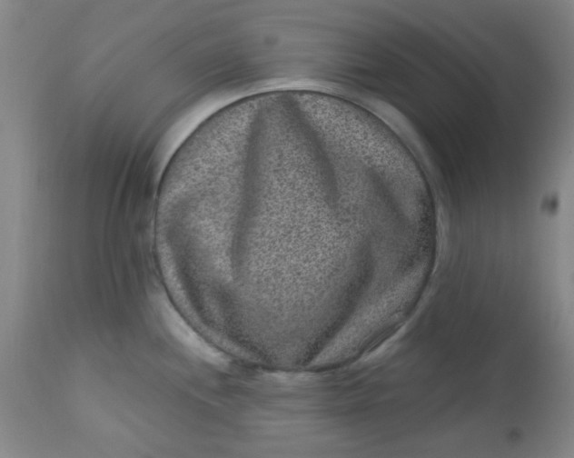 X0000113631244200910091548