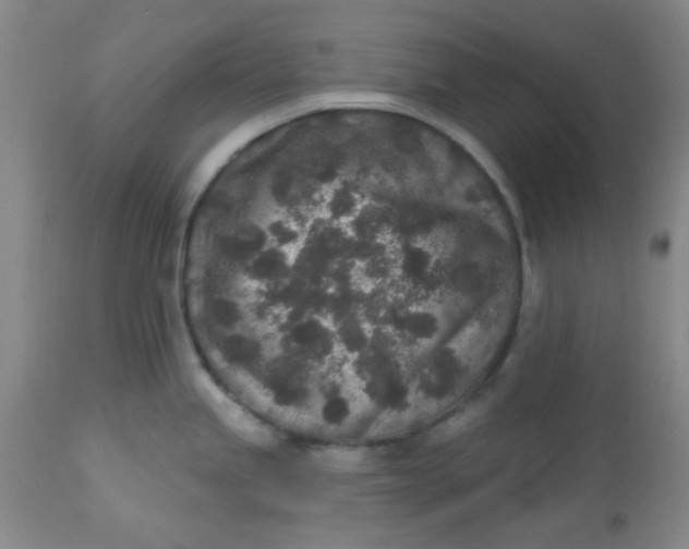 X0000113631245200910091548
