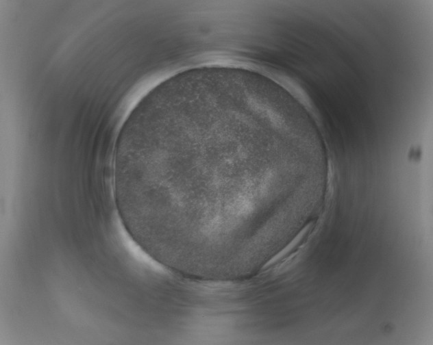 X0000113631247200910091548