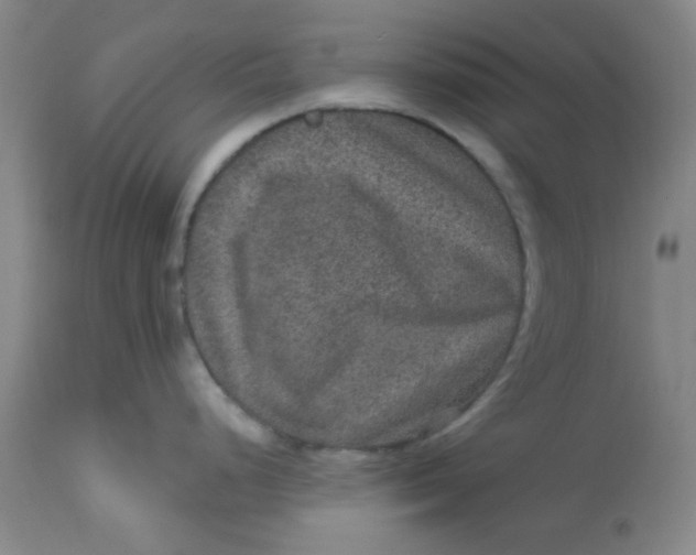 X0000113631248200910091548