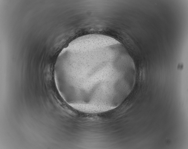 X0000113631250200910091547