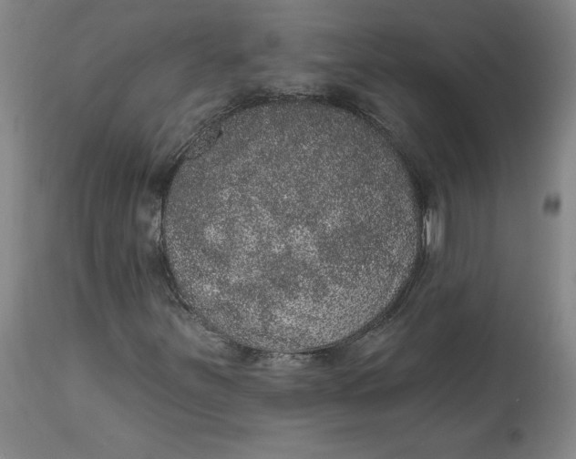X0000113631251200910091547