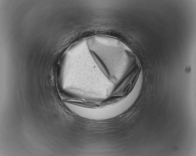 X0000113631252200910091547