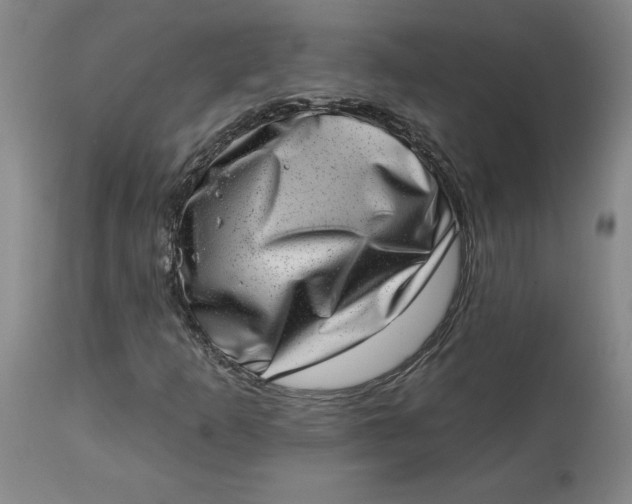 X0000113631253200910091547