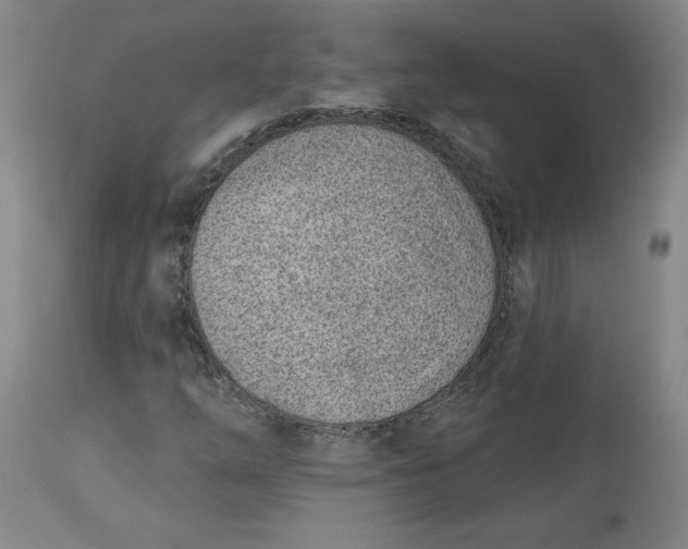 X0000113631254200910091547
