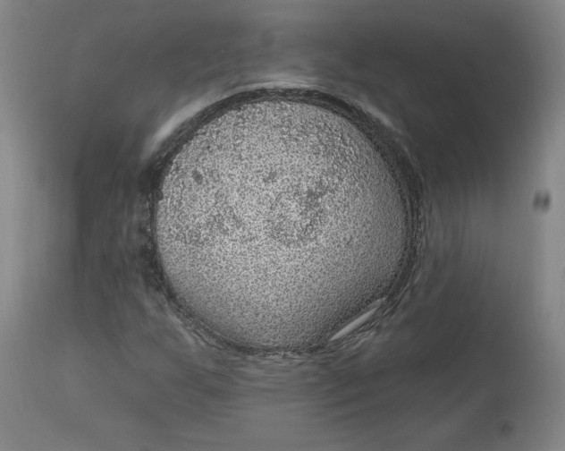 X0000113631255200910091547
