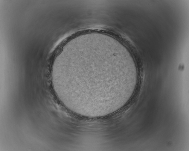 X0000113631256200910091547