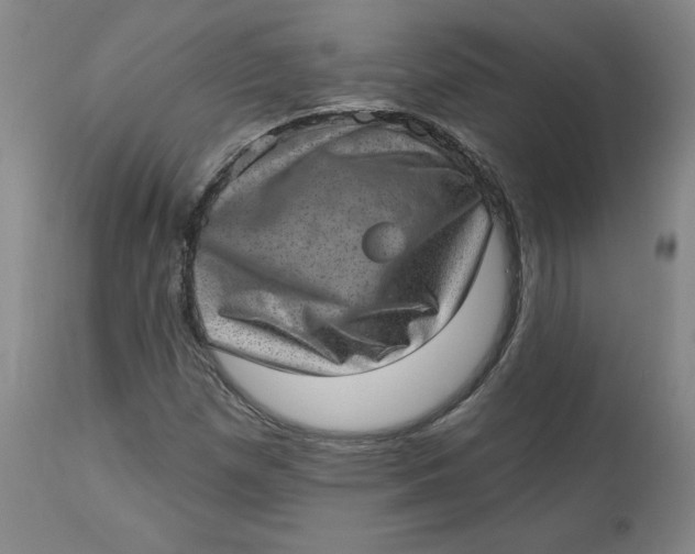 X0000113631257200910091547