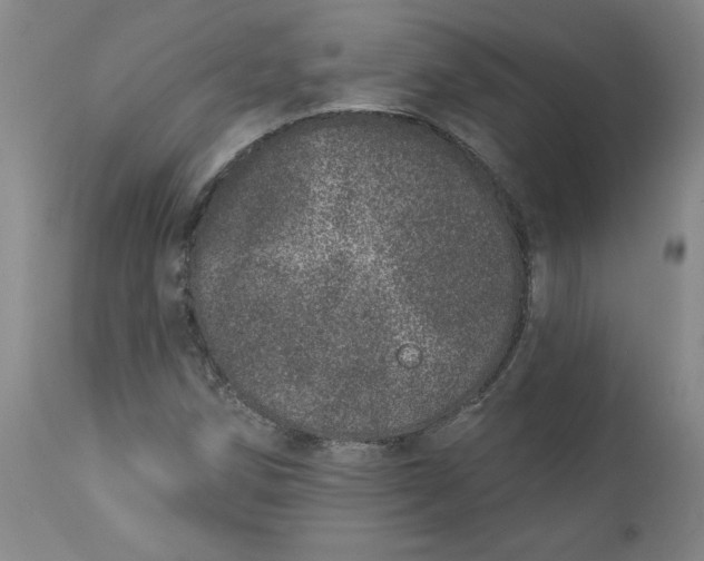 X0000113631258200910091547