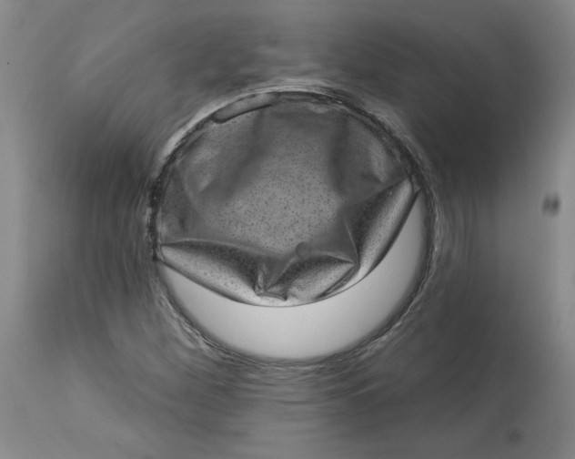 X0000113631260200910091547