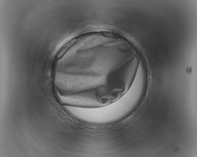 X0000113631261200910091547