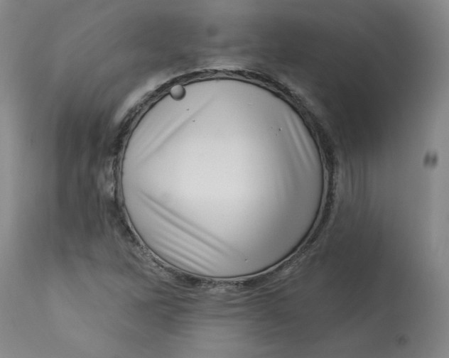 X0000113631262200910091547