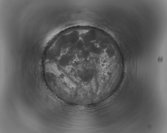 X0000113631263200910091547