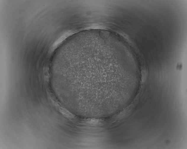 X0000113631266200910091547