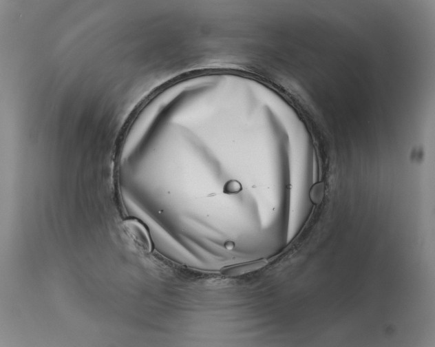 X0000113631268200910091547