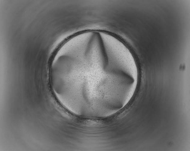 X0000113631270200910091547