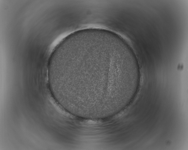 X0000113631271200910091547
