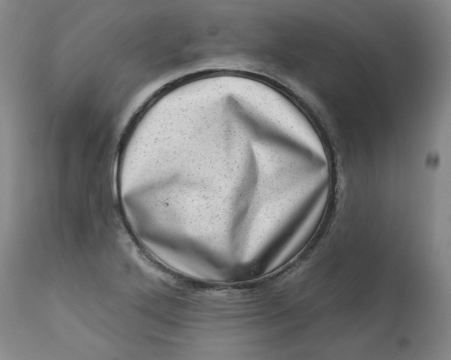 X0000113631272200910091547