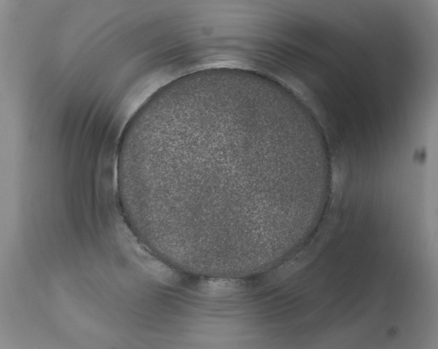 X0000113631274200910091547