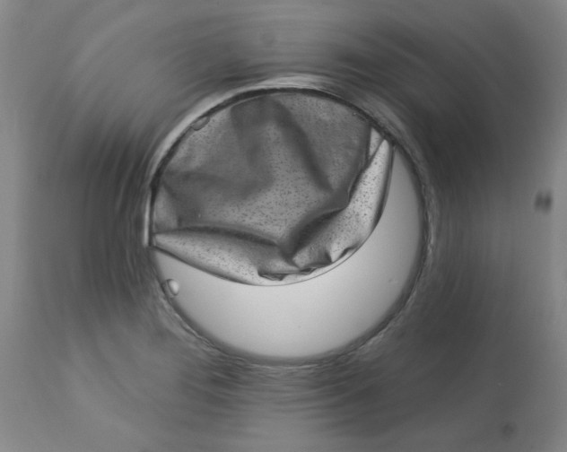X0000113631276200910091547