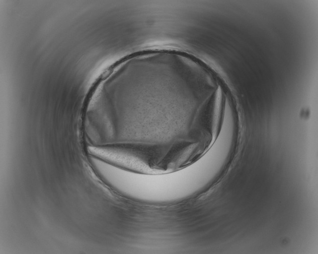 X0000113631277200910091547