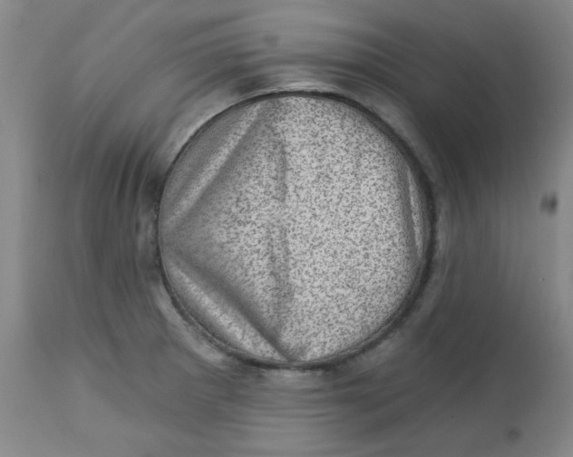 X0000113631281200910091547