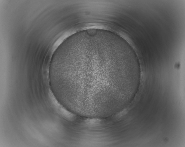 X0000113631282200910091547