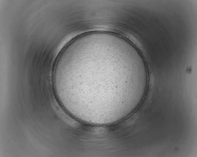X0000113631283200910091547