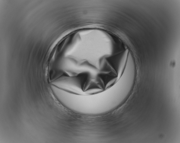 X0000113631284200910091547
