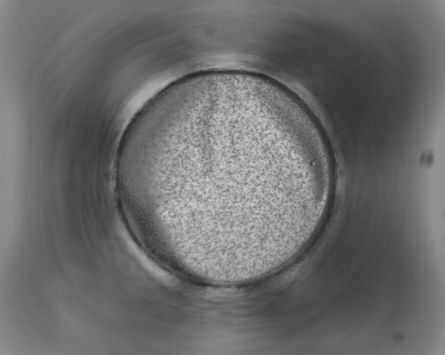 X0000113631285200910091547