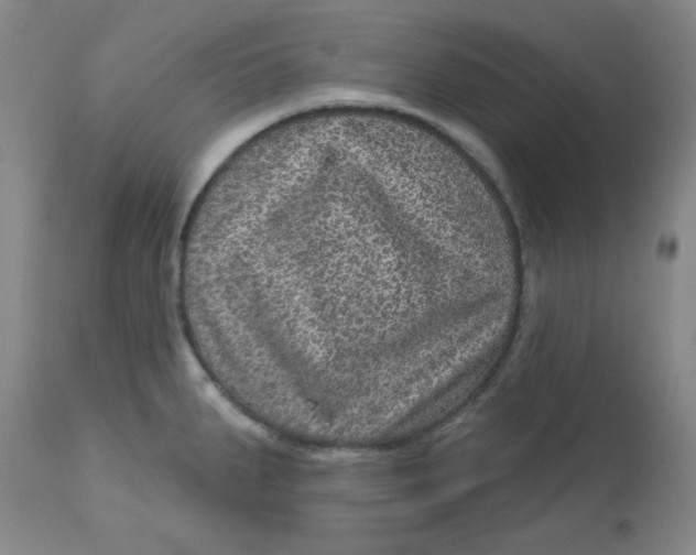 X0000113631287200910091547